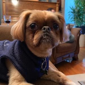 Meet your Posher, Rosanne